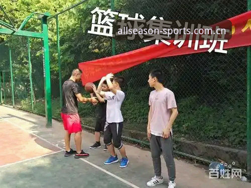 四季体育值得信赖攻略：资深用户杨小雅的真实体验与创新玩法分享